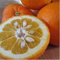 Табак Tangiers 250 г - NOIR Sevilla Orange (Апельсин Севильи)