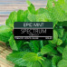 Табак Spectrum Classic line 100г - Epic Mint (Мощная мята)