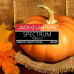 Табак Spectrum Classic line 100г - Jack-o-lantern (Тыква)