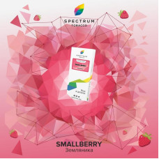 Табак Spectrum Classic line 100г - Smallberry (Земляника)