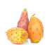 Табак Tangiers 50 г - BIRQUQ Cactus Fruit (Кактусовая груша)