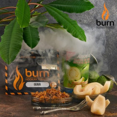 Табак Burn 100г - Guava (Гуава)