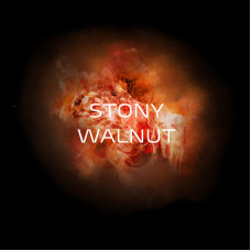 КупитьСмесь Do You 50г - Stony Walnut (Грецкий орех)
