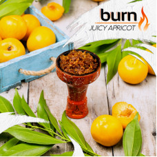 Табак Burn 20г - Juicy Apricot (Спелый абрикос)