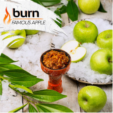 Табак Burn 20г - Famous Apple (Ледяное яблоко)