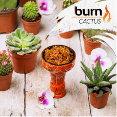 Табак Burn 20г - Cactus (Кактус)