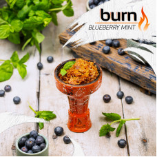Табак Burn 20г - Blueberry mint (Черника с мятой)