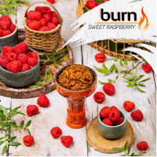 Табак Burn 200г - Sweet Raspberries (Кисло-сладкая малина)