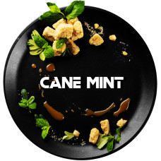 Табак Black Burn 25г - Cane Mint (Тростниковая мята)
