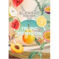Табак Element 5 Элемент 25г - Tropic Monsoon (Арбуз Маракуйя Персик Лимон)
