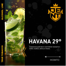 Табак JENT 30г - Havana 29° (Мохито)