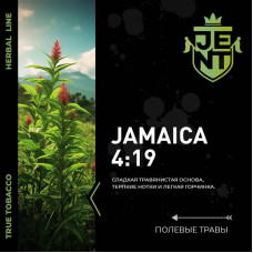 Табак JENT 25г - Jamaica 4 : 19 (Полевые травы)