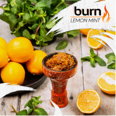 Табак Burn 20г - Lemon Mint (Лимон мята)